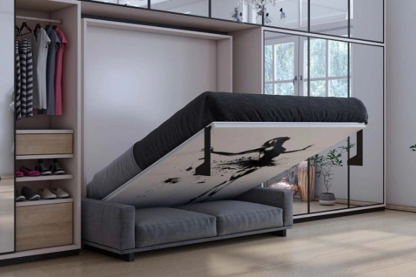 A murphy Bed that double up as a Sofa when not in use